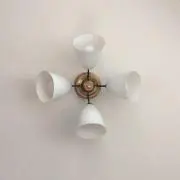 Satomiの画像