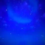 らんの画像