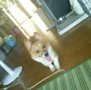 ルナ