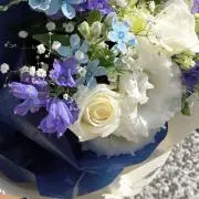 Nanakaの画像