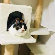 m_n_a_☺︎の画像