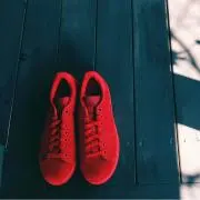 ポポラス