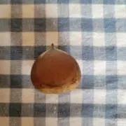 amiの画像