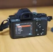 パンボ　シルベストレ　コンデ