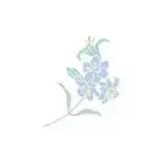 kaokaoの画像