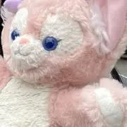 ぴっぴの画像