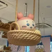 soorの画像