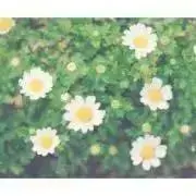 まとめ買い歓迎値下げします☻の画像
