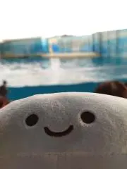 am1500の画像