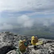 モーリーkの画像