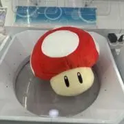 くろま【即購入OK】の画像