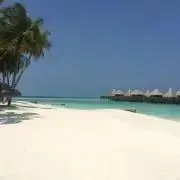 さゆりの画像