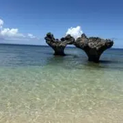 Yの画像