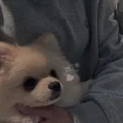 むーむの画像