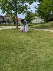 かいたろうの画像