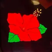 しのびー