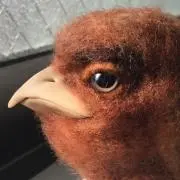 teeの画像