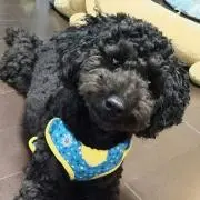 kai☆
