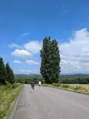mi−の画像