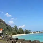 あさひの画像