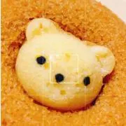 はるの画像