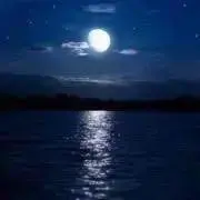 Newmoonの画像