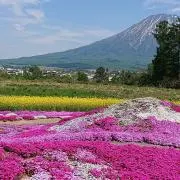 あやの画像