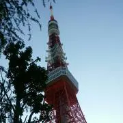 シカクの画像