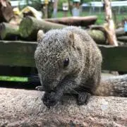 kmamarinの画像