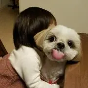 コテツ