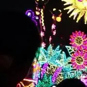 ちぃ