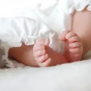 ミニミニラの画像