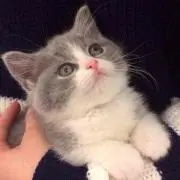 ゆか