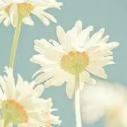 ちゃくら＊購入前コメント必須の画像