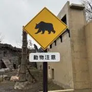ほたての画像