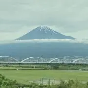 もせいゆの画像