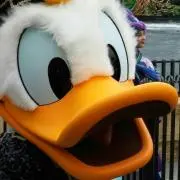 ユーコの画像