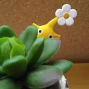 pipiの画像