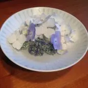 ぽぽぽんの画像