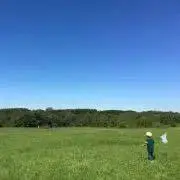 toの画像