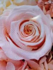 ♡M♡の画像