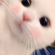ْの画像
