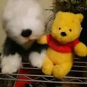 いーぬん
