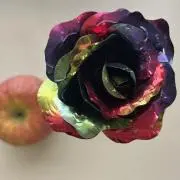 さくらんの画像