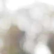 nutsの画像