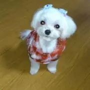 noribon57の画像