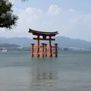 T & Lの画像