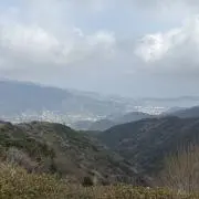 まる大福の画像
