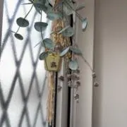 えりきちの画像