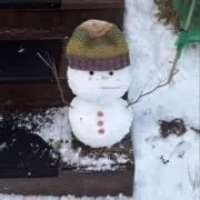kiwiの画像